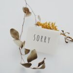 Apology Email Template Sample