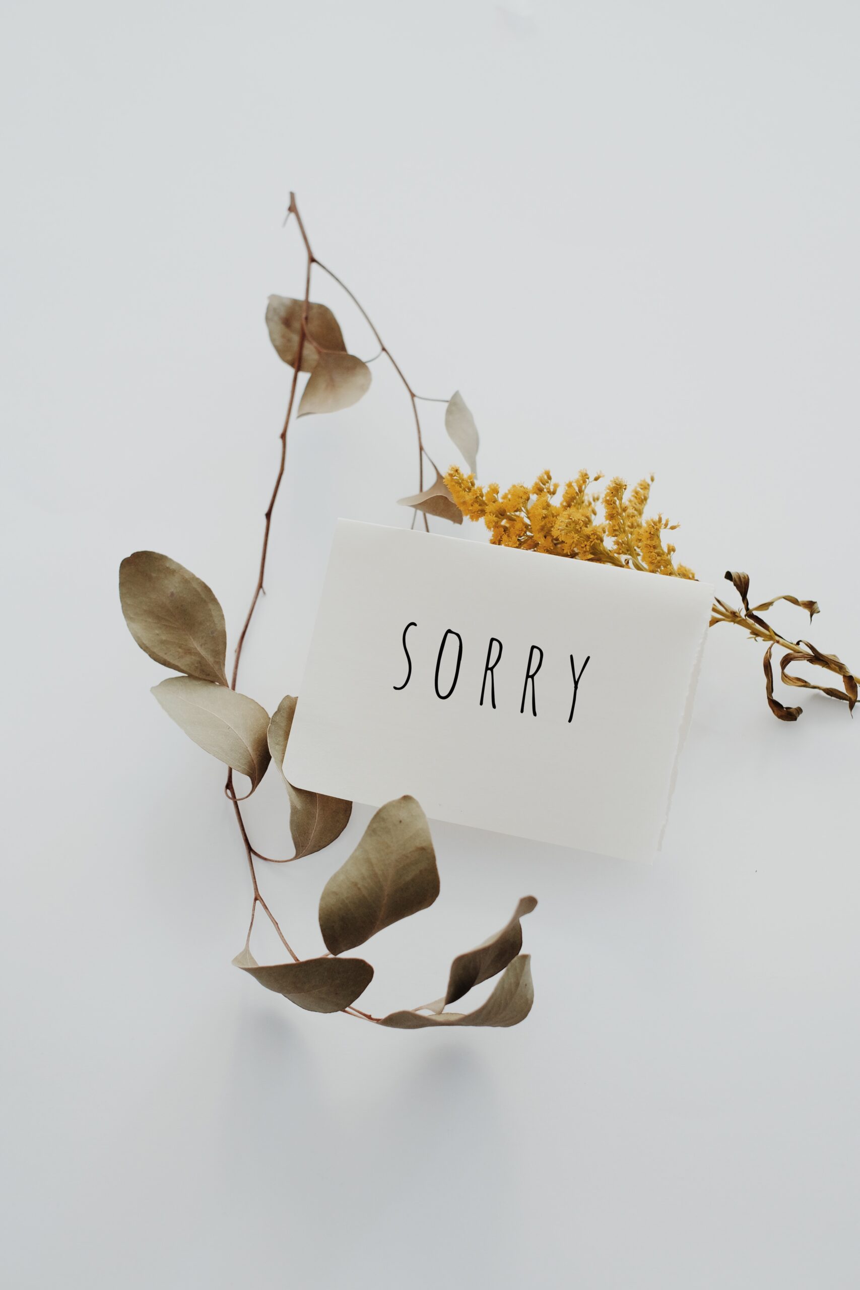 Apology Email Template Sample