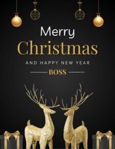 Christmas Messages for Boss