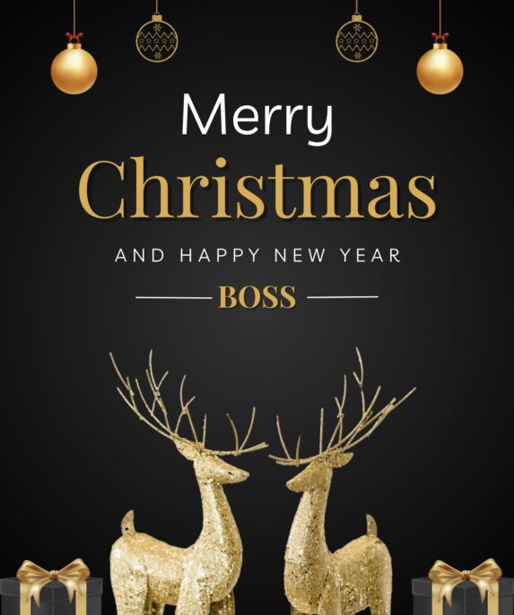 Christmas Messages for Boss