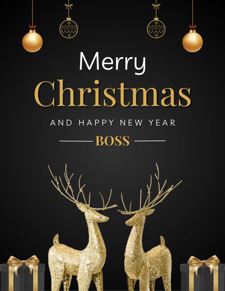 Christmas Messages for Boss