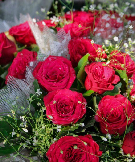 Rose Day Wishes Messages and Quotes