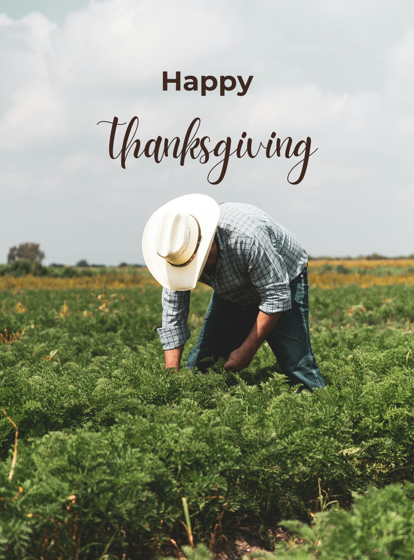 Thanksgiving Messages To Farmer