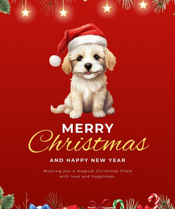 Christmas Wishes for Pets