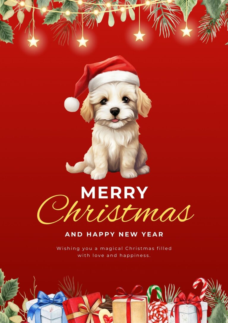 Christmas Wishes for Pets